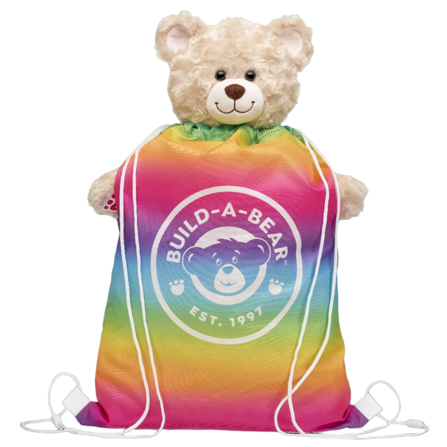 Rainbow Toy Bear Carrier