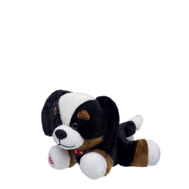 Build-A-Bear Mini Beans® Promise Pets™ Bernese Mountain Dog Stuffed Animal