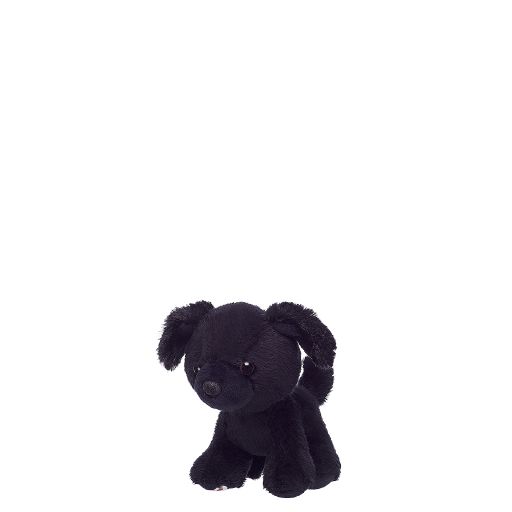 Promise Pets Mini Black Puppy
