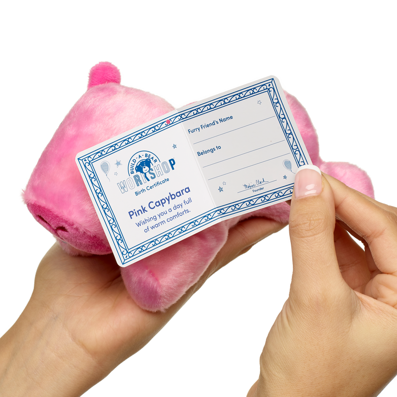 Build-A-Bear Mini Beans® Pink Capybara Stuffed Animal