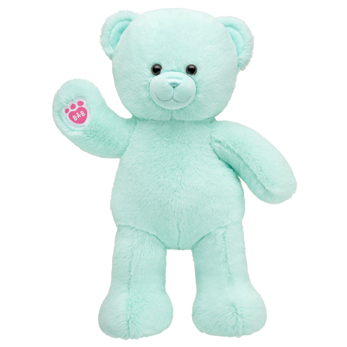 Mint Teddy Bear