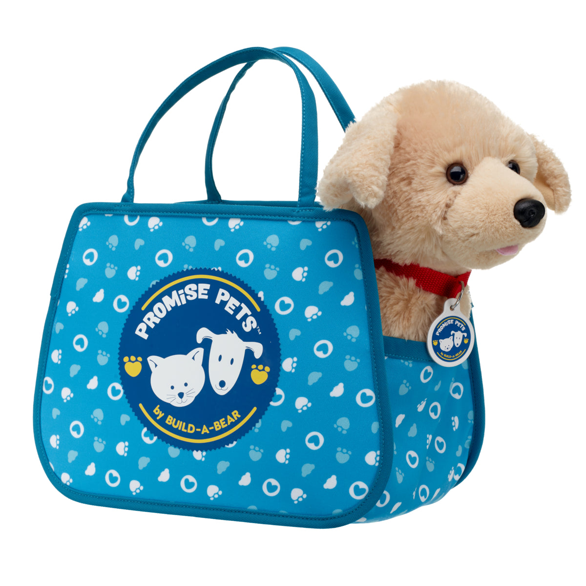 Promise Pets Teal Pet Carrier