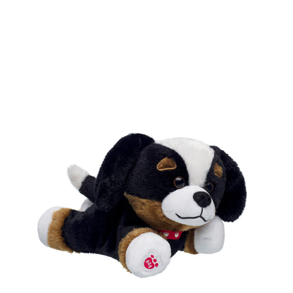 Build-A-Bear Mini Beans® Promise Pets™ Bernese Mountain Dog Stuffed Animal