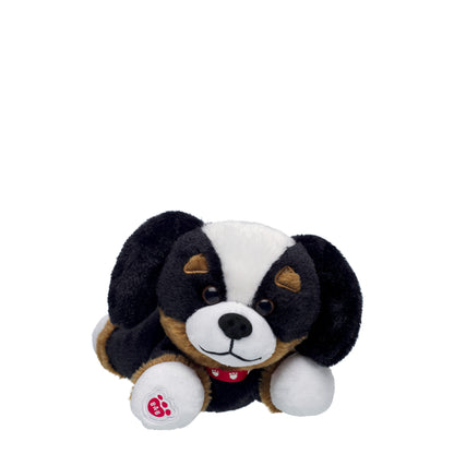 Build-A-Bear Mini Beans® Promise Pets™ Bernese Mountain Dog Stuffed Animal