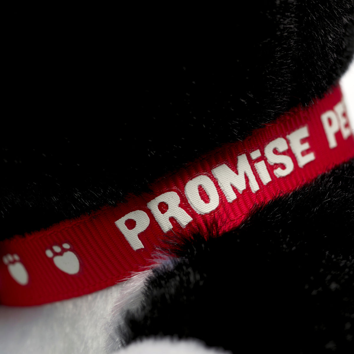 Build-A-Bear Workshop Mini Beans® Plush Promise Pets™ Tuxedo Cat Soft Toy