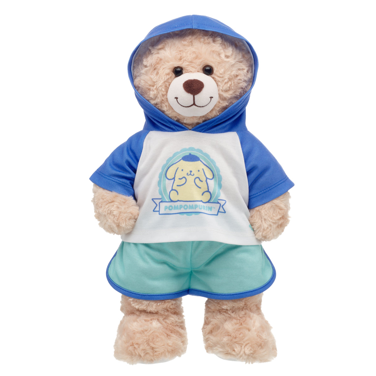 Pompompurin Hoodie Set