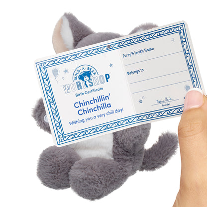 Mini Beans Chinchilla