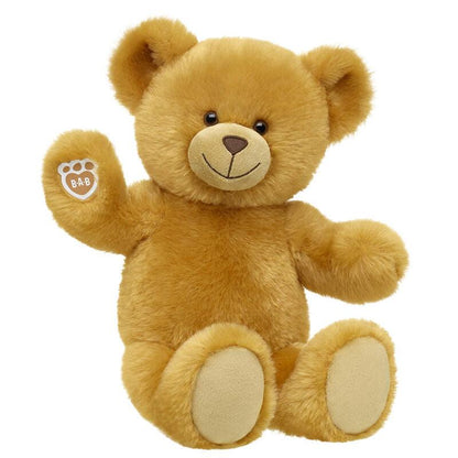 Read Teddy - Build-A-Bear Workshop Australia