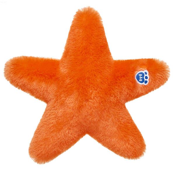Suns Out Starfish