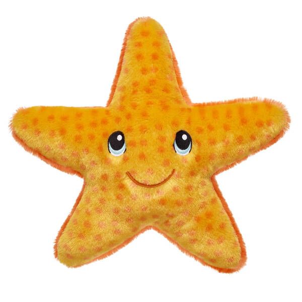 Suns Out Starfish